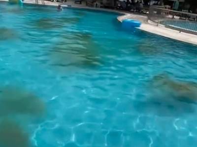  Turistkinja objavila užasan snimak sa bazena u Turskoj 