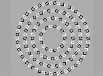  Koliko krugova vidite na slici 