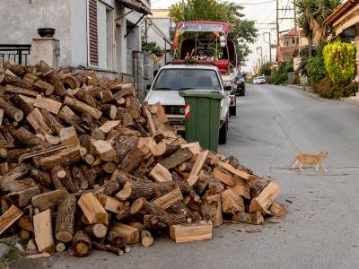  Cena ogrevnog drveta u Beogradu 