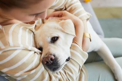  Pas može da namiriše kada je vlasnik pod stresom 