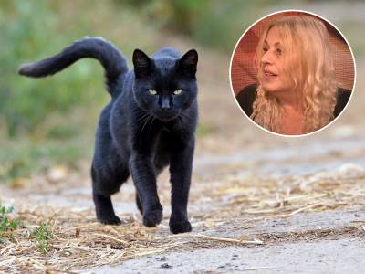  Da li crna mačka donosi nesreću 