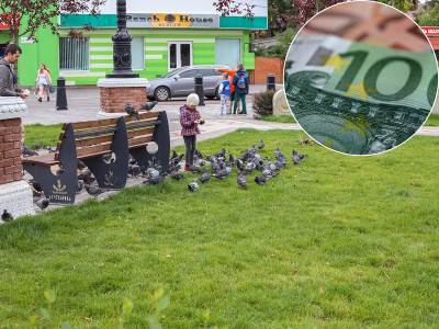  Kazne za hranjenje golubova idu do 9000 evra 