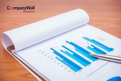  Zašto su korisne detaljne analize poslovnih rezultata kompanija koje pruža CompanyWall? 