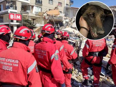  Pas Zigi pronašao devojku u ruševina u Turskoj 