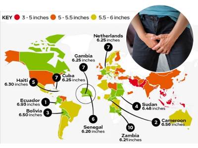  Spisak najvećih polnih organa u svetu 