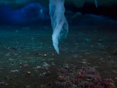  Ledeni prst smrti na Antarktiku 