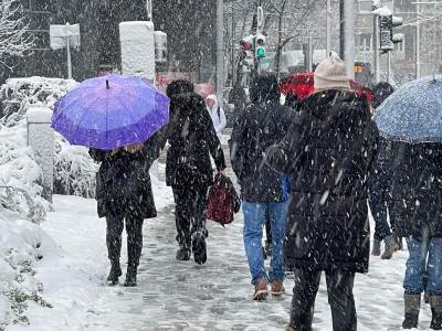  U Sremskoj Mitrovici palo više snega nego na Zlatiboru i Kopaoniku 