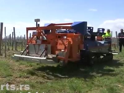  Roboti u Srbiji bi mogli da zamene radnike u voćnjacima 