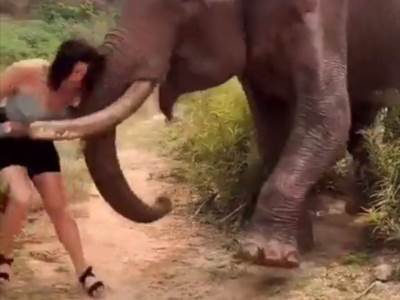  Slon napao ženu u Indiji 