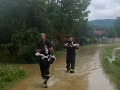  Evakuisane bebe blizanci iz poplava u Kučevu 