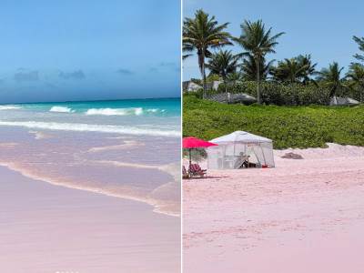  Ružičasta plaža na Bahamima 
