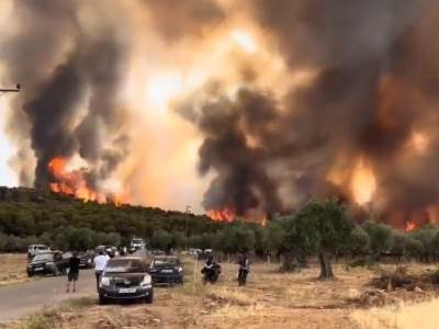  Oglasilo se Ministarstvo o požarima u Grčkoj 