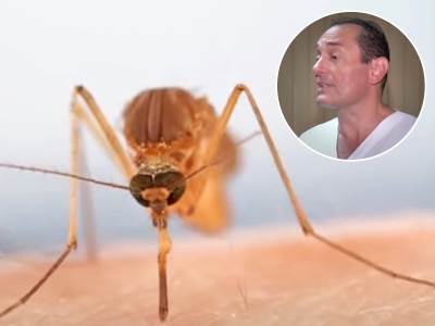  Kako da se zaštitimo od zaraženih komaraca virusom Zapadnog Nila 