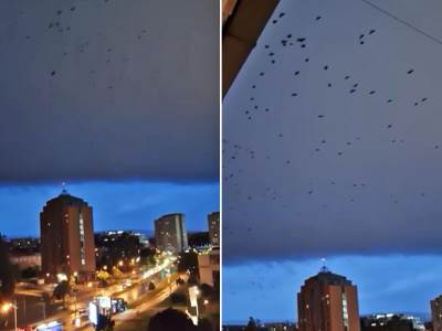  Snimak neba pre nevremena u Novom Sadu 