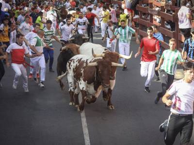  Trka bikova u Španiji poginuo muškarac 