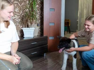  Vladimir Putin poklonio devojčici psa Akitu 