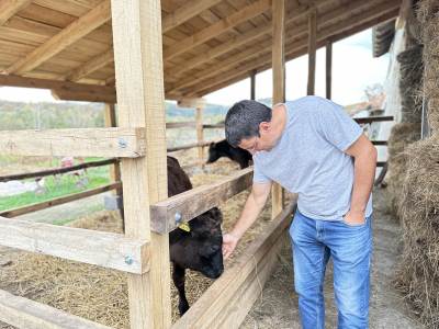  Nemanja prvi pokrenuo biznis sa wagi kravama u Srbiji 