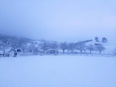  U ovim delovima Srbije napadalo najviše snega 