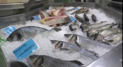  Riba jeftinija nego prošle godine 