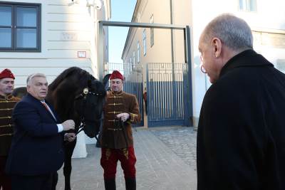  Viktor Orban poklonio konja Redžepu Tajipu Erdoganu 