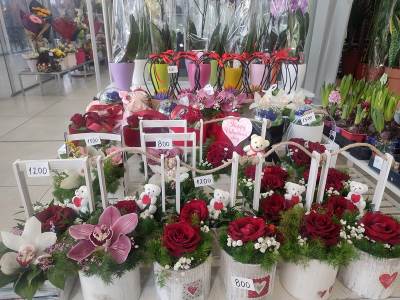 Cene cveća i cvetnih aranžmana za Dan zaljubljenih 