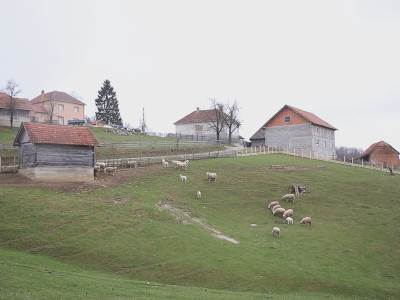  Selo Vrnčani 