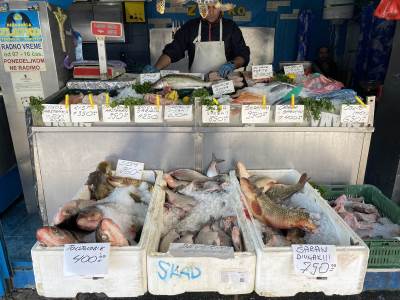  Cene ribe i ribljih proizvoda 2024 