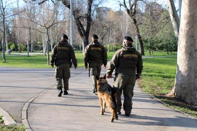  Vojna policija na ulicama Srbije 