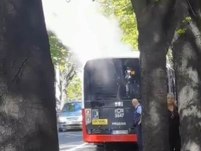  Zapaljen autobus 