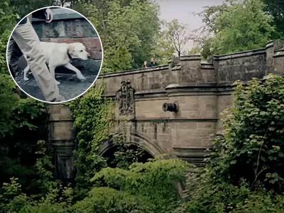  Misterija mosta u Škotskoj sa kog psi skaču u smrt 