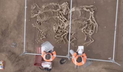  Arheolozi u Francuskoj pronašli grobnice sa skeletom 28 konja 