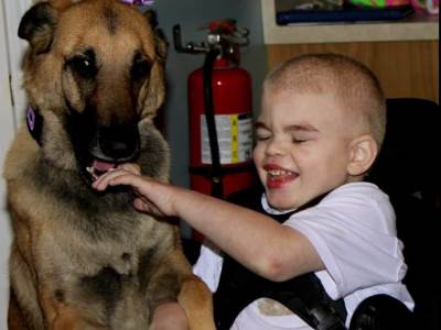  Udomili psa da pomogne bolesnom dečaku pa se desilo nešto neverovatno  