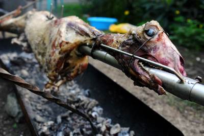 lopovi ukrali jagnje sa raznja restoran pljacka pilici meso  