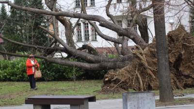  Banjaluka razorni vetar rušio stabla krovove 