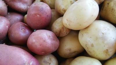  Krompir - da li je zdrav - kako utiče na zdravlje - recepti 