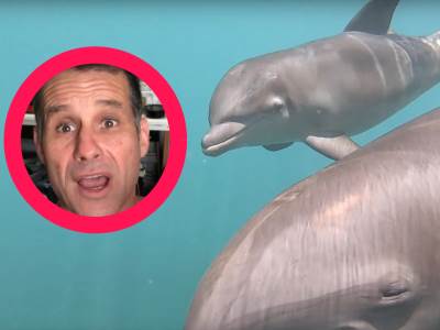 Rijaliti učesnik pojeo bebu delfina VIDEO 