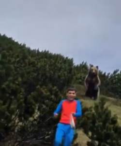  Susret dečaka i medveda u šumi Tviter 