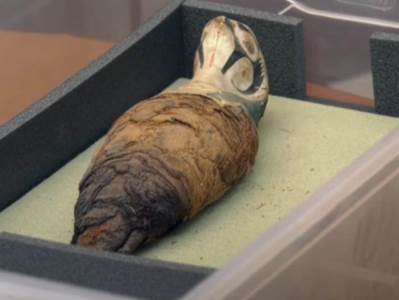  Mumije-Egipat-otriće-arheolozi 