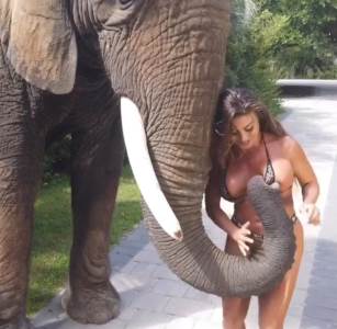  Slon navalio na ženske grudi Playboy zečica Francia James  