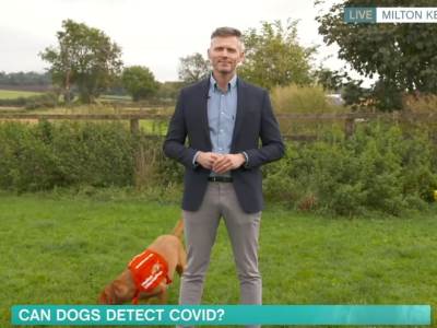  Jutarnji program korona i psi uske pantalone komentari 