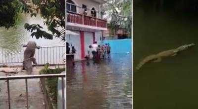  krokodili po ulicama u meksiku poplave i nevreme 