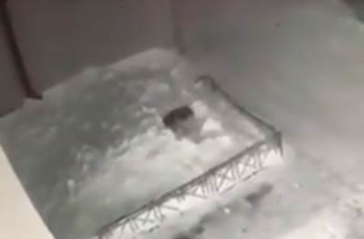  rusija devojcica pad sa zgrade sneg video 