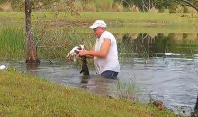  covek spasio psa od aligatora 
