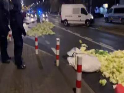  neredi u poljskoj demonstracije mrtva svinja zamenik premijera video 