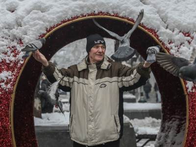 covek hrani golubove u beogradu sneg zima ulica ljudi fotografije 