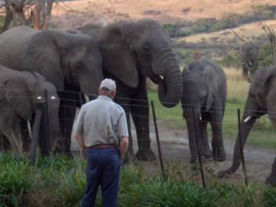  lorens entoni saptac slonovima smrt dirljiv ispracaj video 
