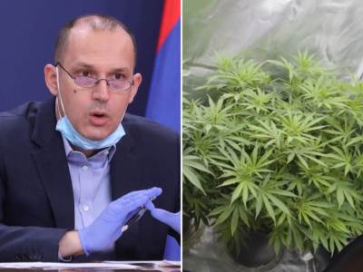 Srbija na korak od legalizacije marihuane 
