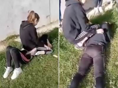 vrsnjacko nasilje devojcica udara devojcicu osnovna skola bvideo snimak  